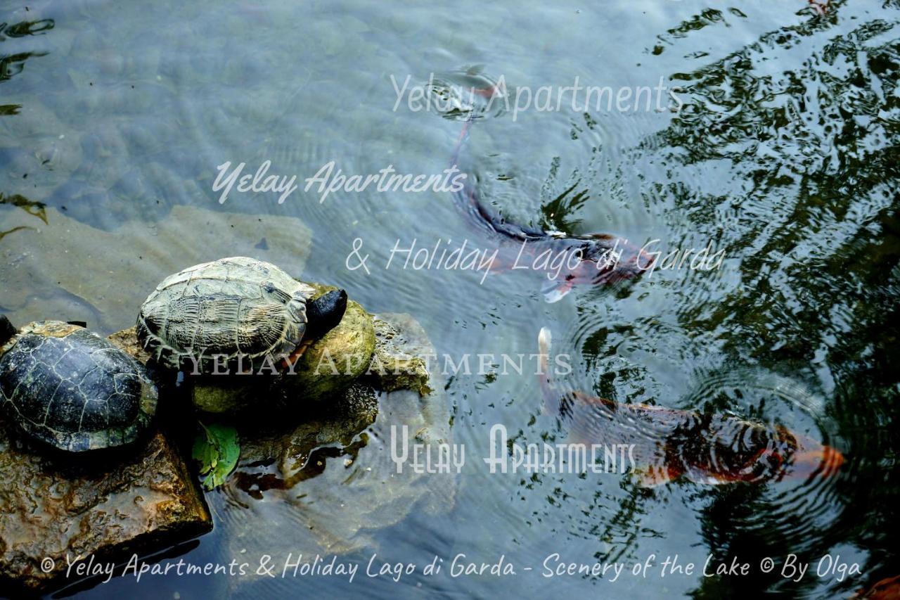 Yelay Apartments & Holiday Lago Di Garda Raffa Exterior foto