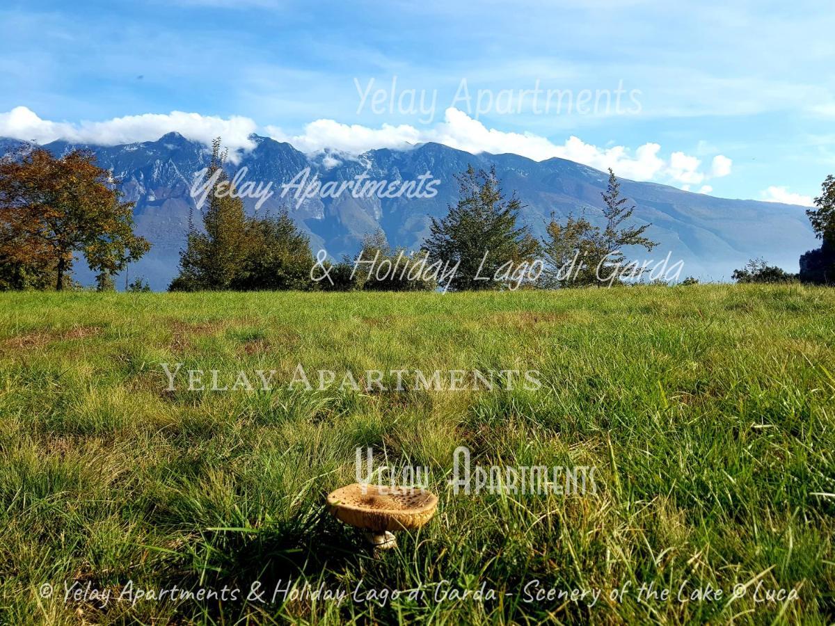 Yelay Apartments & Holiday Lago Di Garda Raffa Exterior foto